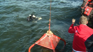 Исследование затонувшего голландского тьялка