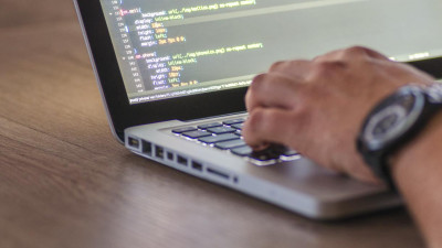 В Петербурге возрос спрос на специалистов сферы IT, продавцов и курьеров