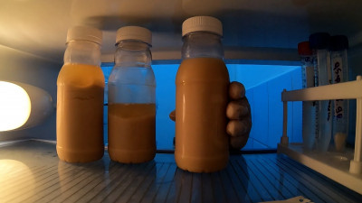 Петербургские специалисты разработали вакцину-йогурт от индийского штамма COVID