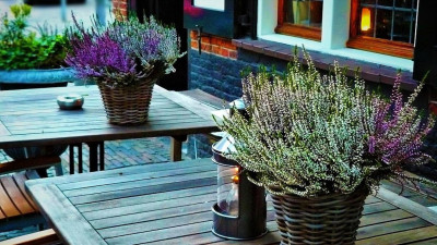 Летние кафе Петербурга могут открыться в июле