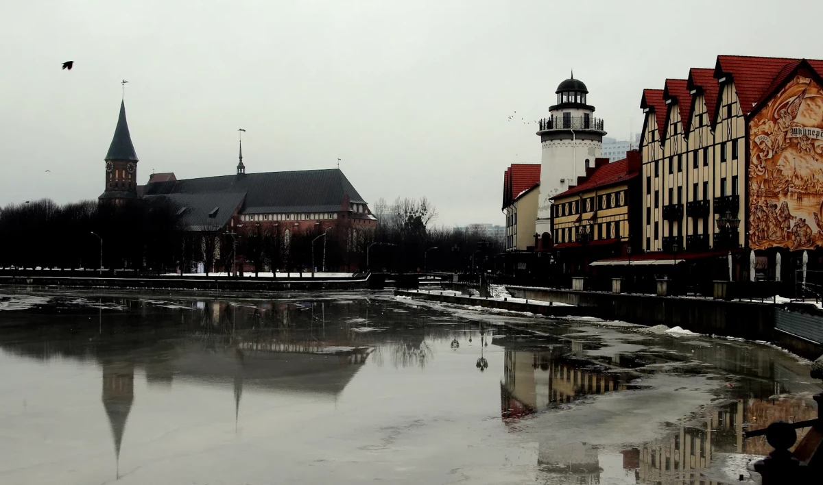 В Совфеде предостерегли Запад от идеи о блокаде Калининграда - tvspb.ru