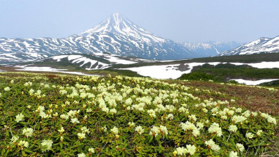 295 лет назад из Петербурга отправилась Первая Камчатская экспедиция