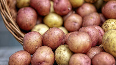 Импорт картофеля и цитрусовых замедлил продовольственную инфляцию в Петербурге