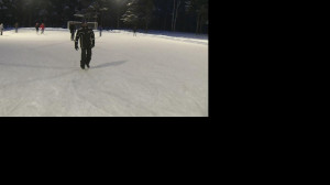 В лес на каток