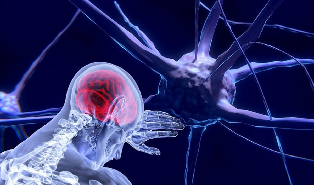 Ведущие нейробиологи мира прочтут открытые лекции в СПбГУ - tvspb.ru