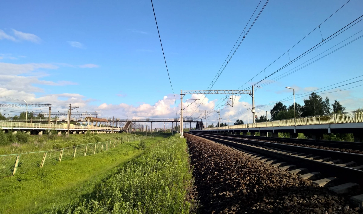 В Ленобласти электричка оторвала мужчине кисть руки - tvspb.ru