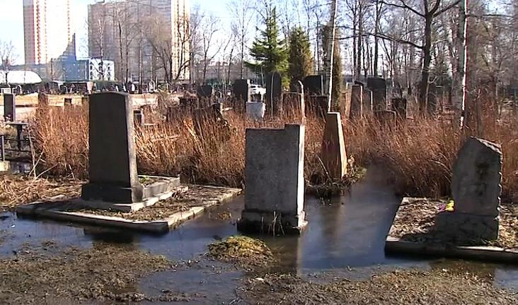 Прокуратура проверила Серафимовское кладбище в связи с сообщением о его подтоплении - tvspb.ru