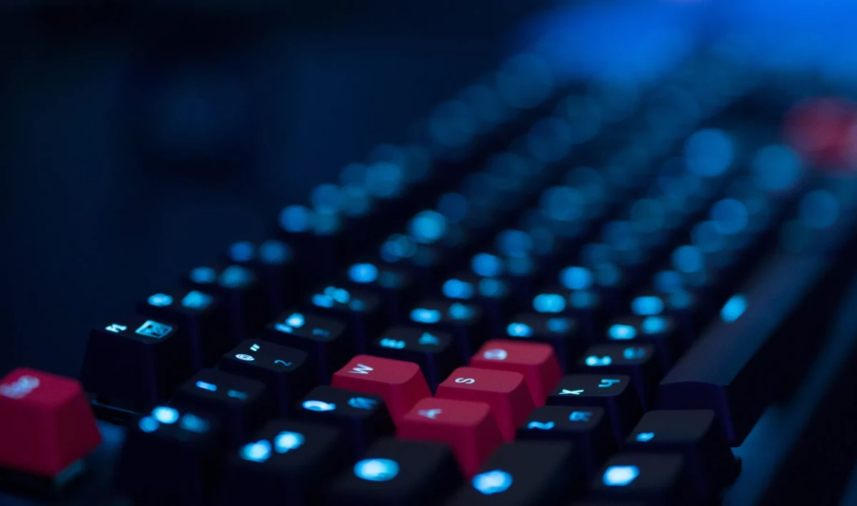 Суд в Петербурге запретил сайт с информацией о продаже редких видов животных - tvspb.ru