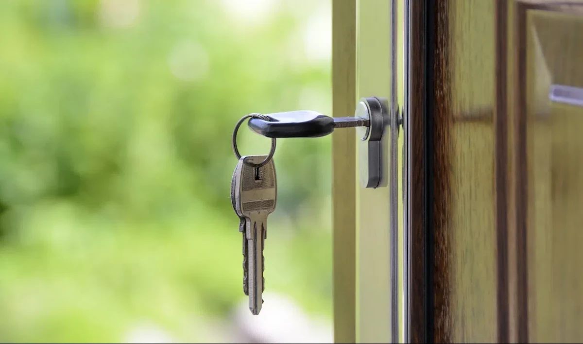 242 семьи получат квартиры в домах Кондратьевского жилмассива в этом году - tvspb.ru