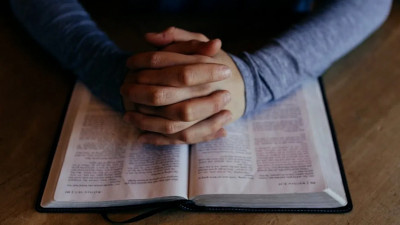 БезЗумие, гречкодемия, диванстрация: В Петербурге выпустили словарь коронавирусной эпохи