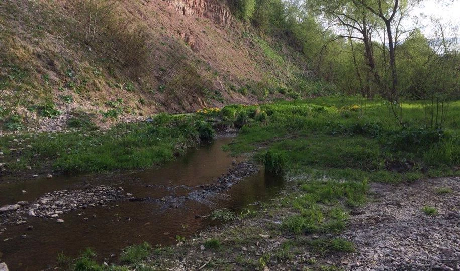 Долину реки Поповки окружат особой охранной зоной - tvspb.ru