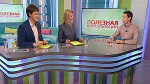 Можно ли наладить контакт с домашними питомцами без применения метода кнута и пряника? Консультация зоопсихолога