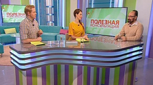 Дачникам на заметку: когда сажать рассаду и почему важно произвести посев в феврале? Консультация цветовода и агронома