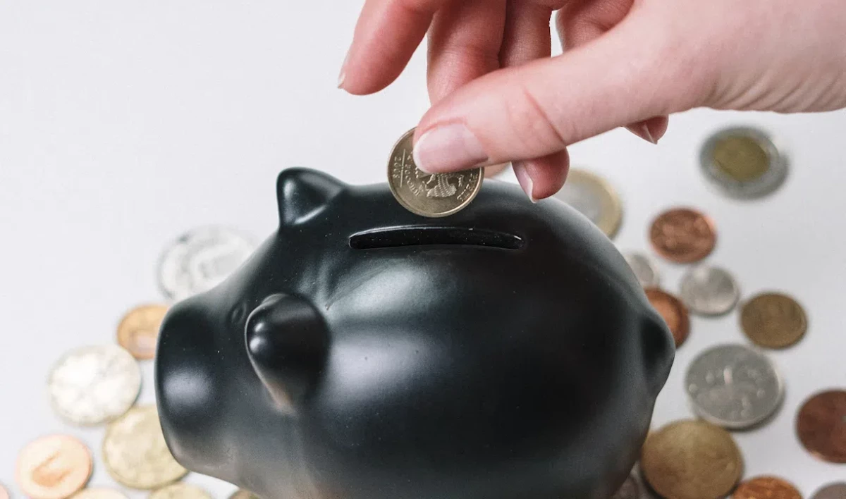 В Петербурге утвердили программу повышения финансовой грамотности населения - tvspb.ru