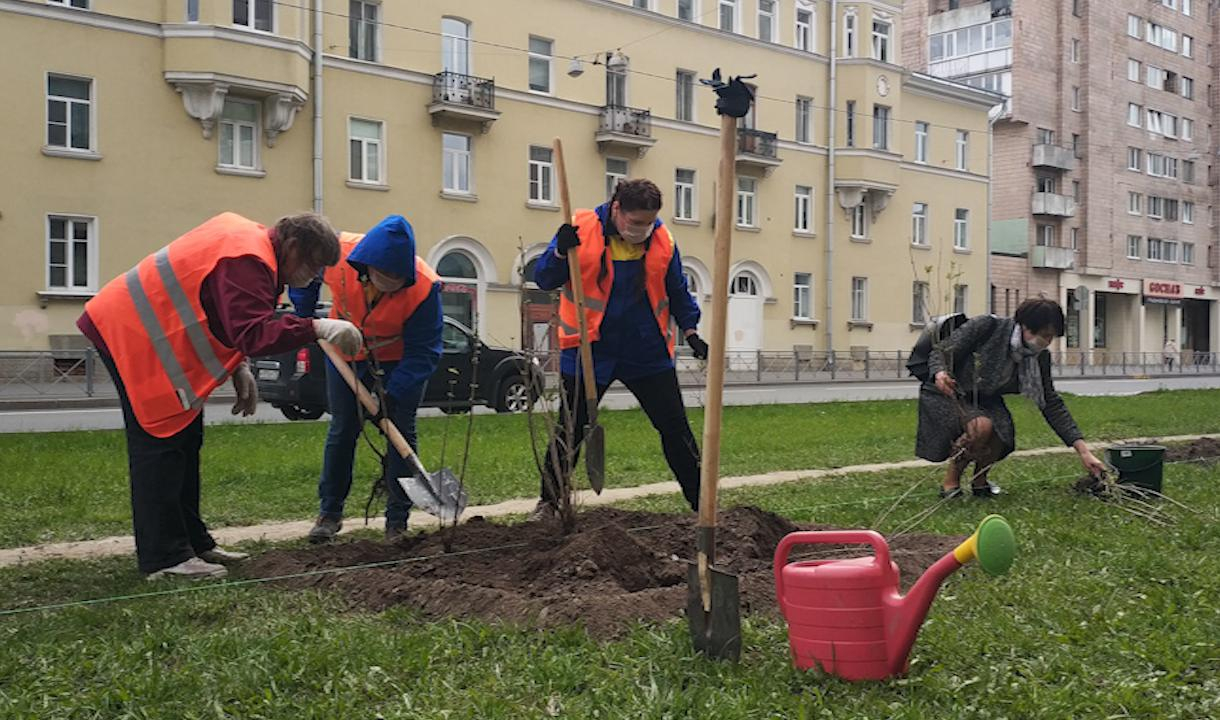 Сайт комитета по благоустройству спб