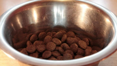 Сеть магазинов в Петербурге начала отдавать нереализованные продукты на корм животным