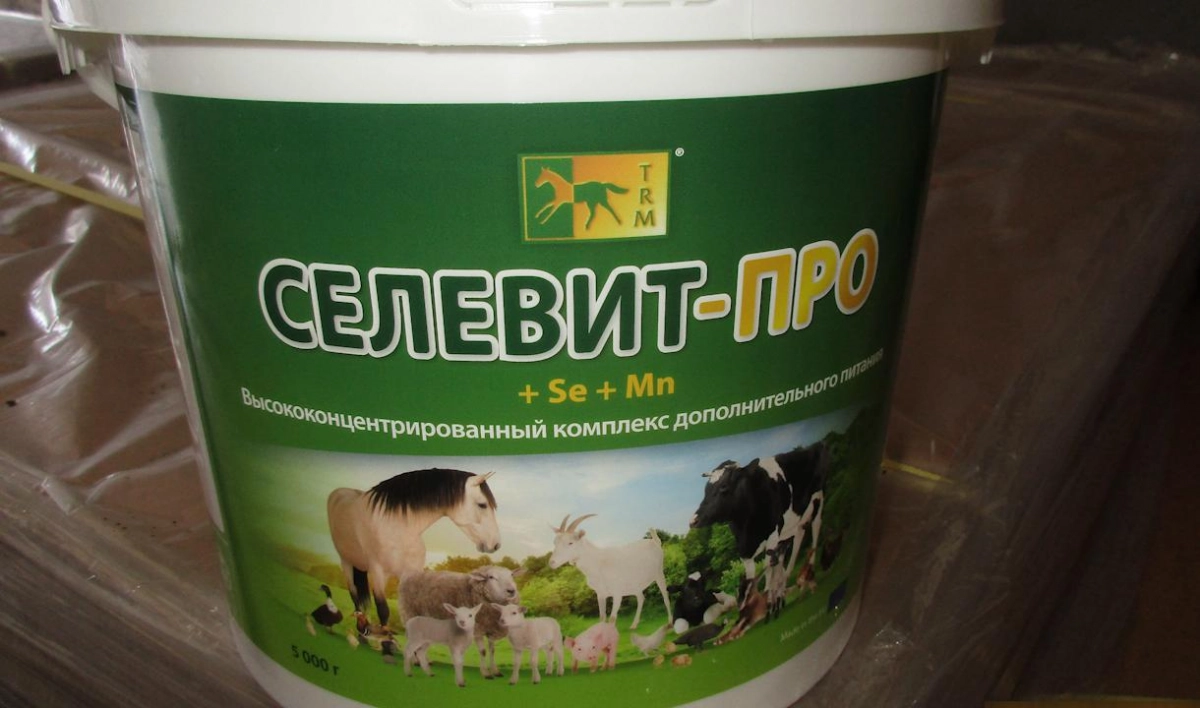 В Ленобласти задержали крупную партию незаконного ирландского корма для лошадей - tvspb.ru