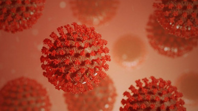 В Петербурге зафиксировали 921 новый случай COVID