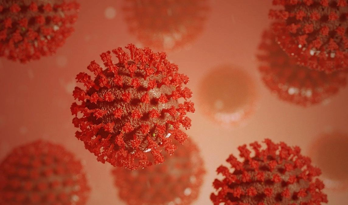 ВОЗ выявила «британский» штамм коронавируса в более чем 100 странах - tvspb.ru