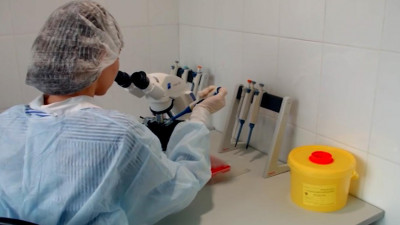 В мире зарегистрировано 10 вакцин против коронавируса, находящихся на стадии клинических испытаний