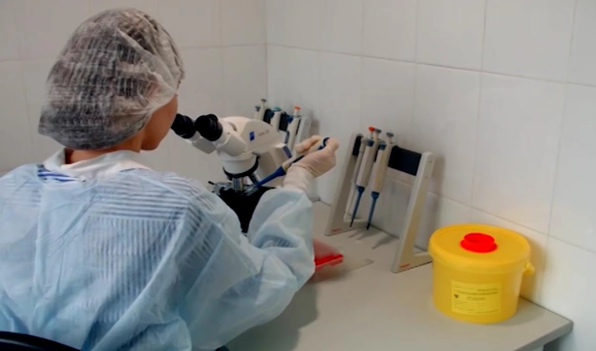 Российские ученые разработали семь прототипов вакцины против коронавируса - tvspb.ru