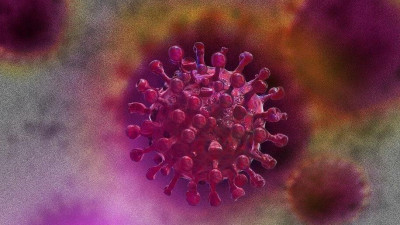 В России выявили более 100 штаммов коронавируса