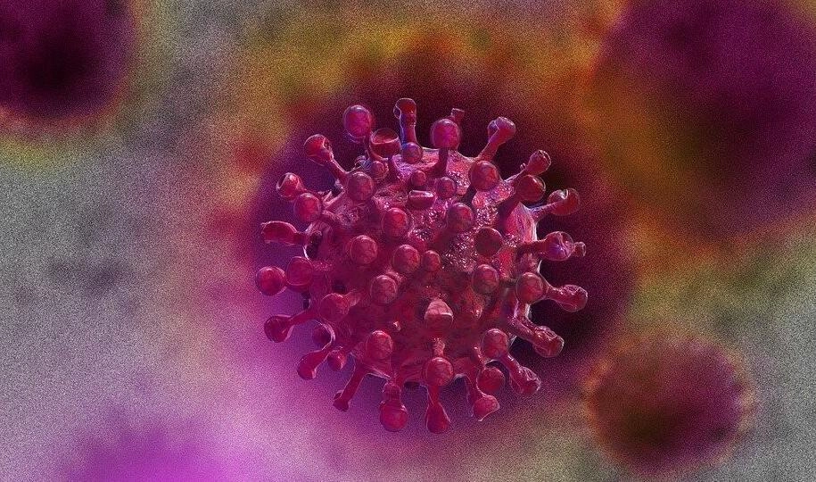 Коронавирус в Африке. Россиянка рассказала, как COVID-19 коснулся нигерийцев - tvspb.ru