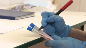 Почти 22 с половиной тысячи тестов на новый коронавирус проведено в Петербурге за минувшие сутки