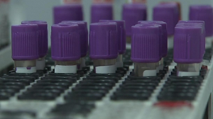 За минувшие сутки в Петербурге выявлено 2130 новых случаев коронавируса