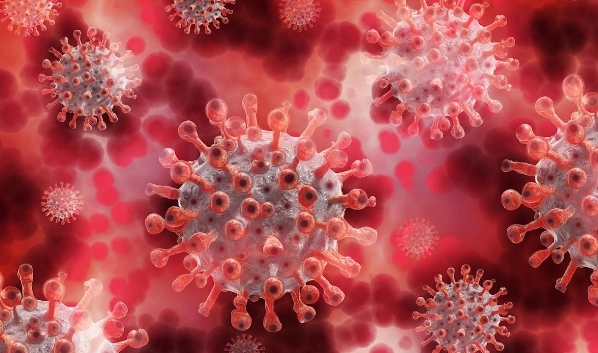 В Великобритании обнаружили «вызывающий беспокойство» штамм коронавируса - tvspb.ru