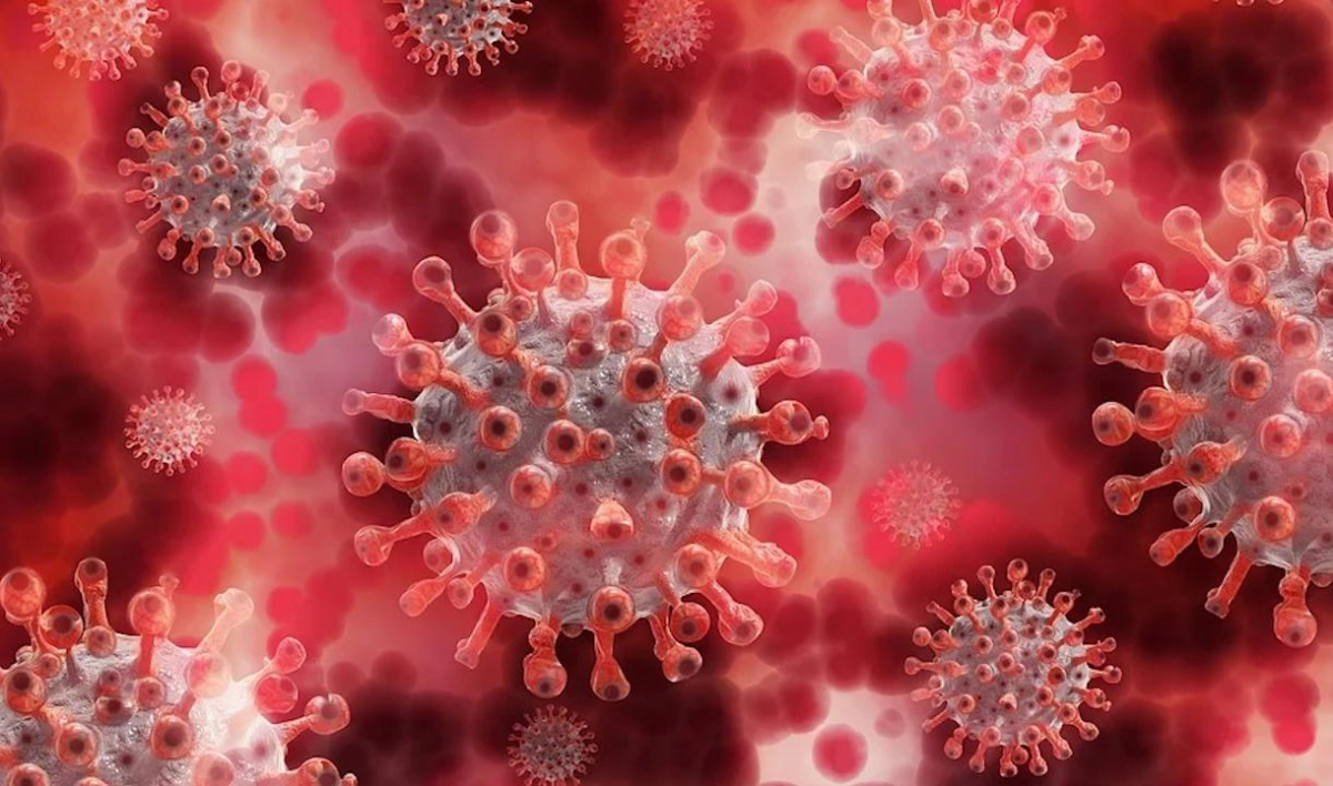 Ученые объяснили высокую заразность коронавируса - tvspb.ru