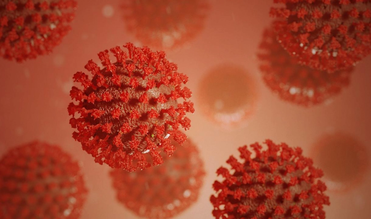 Никого не щадит. Ученые заявили, что коронавирусом могут заразиться все млекопитающие - tvspb.ru