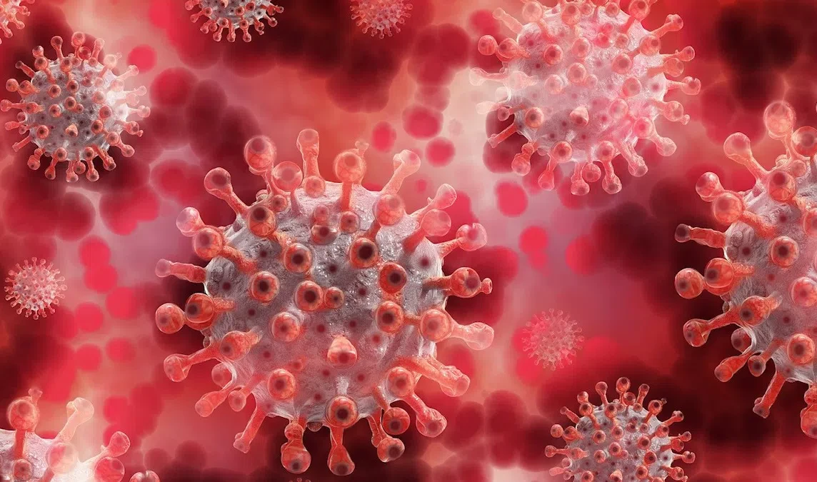 Туристы могут сформировать новый штамм COVID на курортах - tvspb.ru