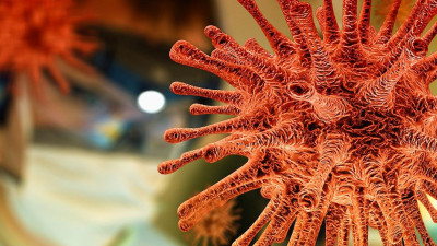 Патологоанатом Боткинской больницы рассказал о картине COVID-поражений при вскрытии