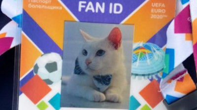 Кот-оракул Ахилл получил FAN ID на матчи Евро-2020