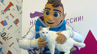Кот Ахилл предсказал победу Швеции в матче со Словакией на Евро-2020