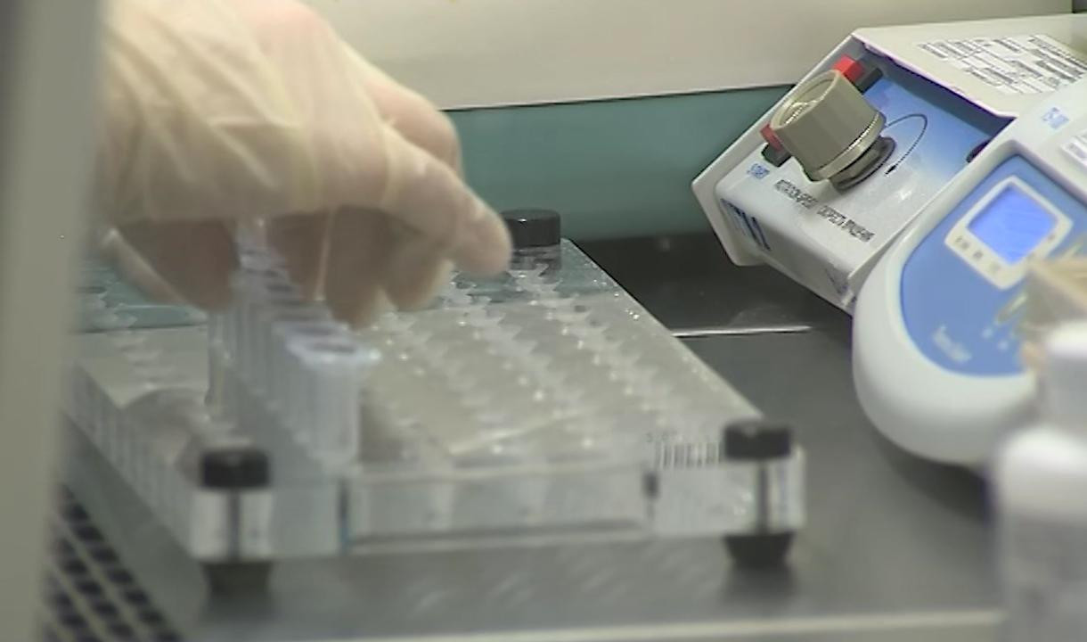 В Петербурге за минувшие сутки зафиксировано 278 новых случаев заражения коронавирусом