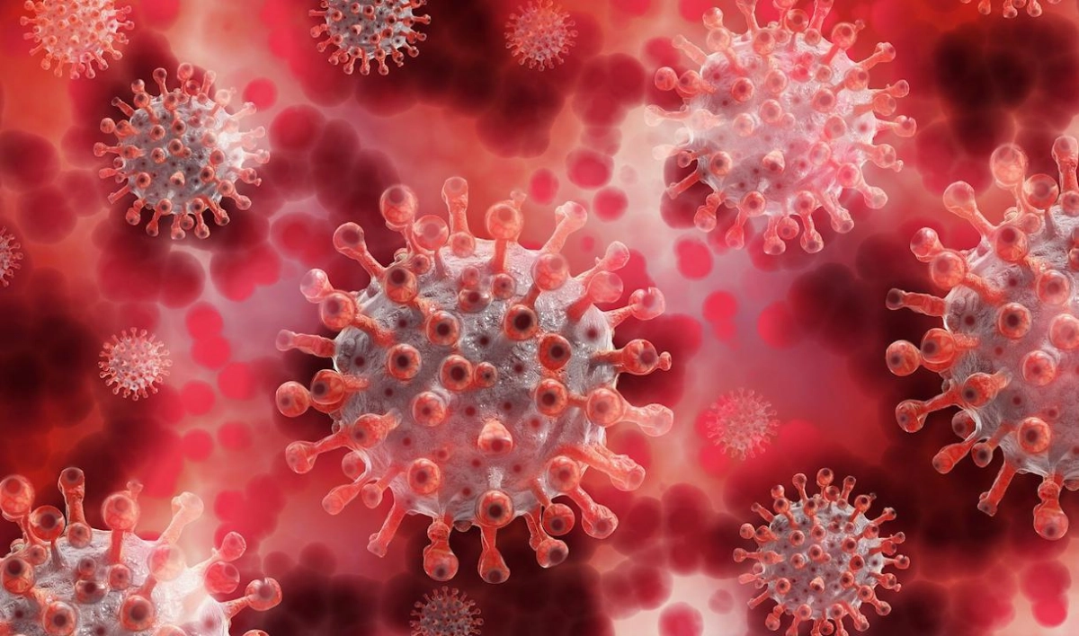 Ученые выяснили, сколько потенциальных лет жизни отнимает коронавирус - tvspb.ru