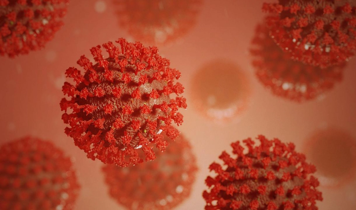 Ученые СПбГУ выдвинули предположение о том, почему коронавирус может давать осложнения - tvspb.ru