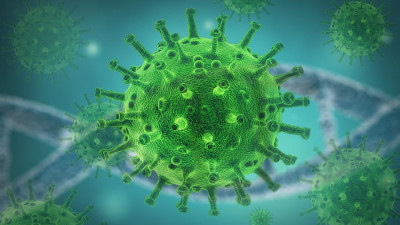 Ученые оценили время появления предка коронавируса