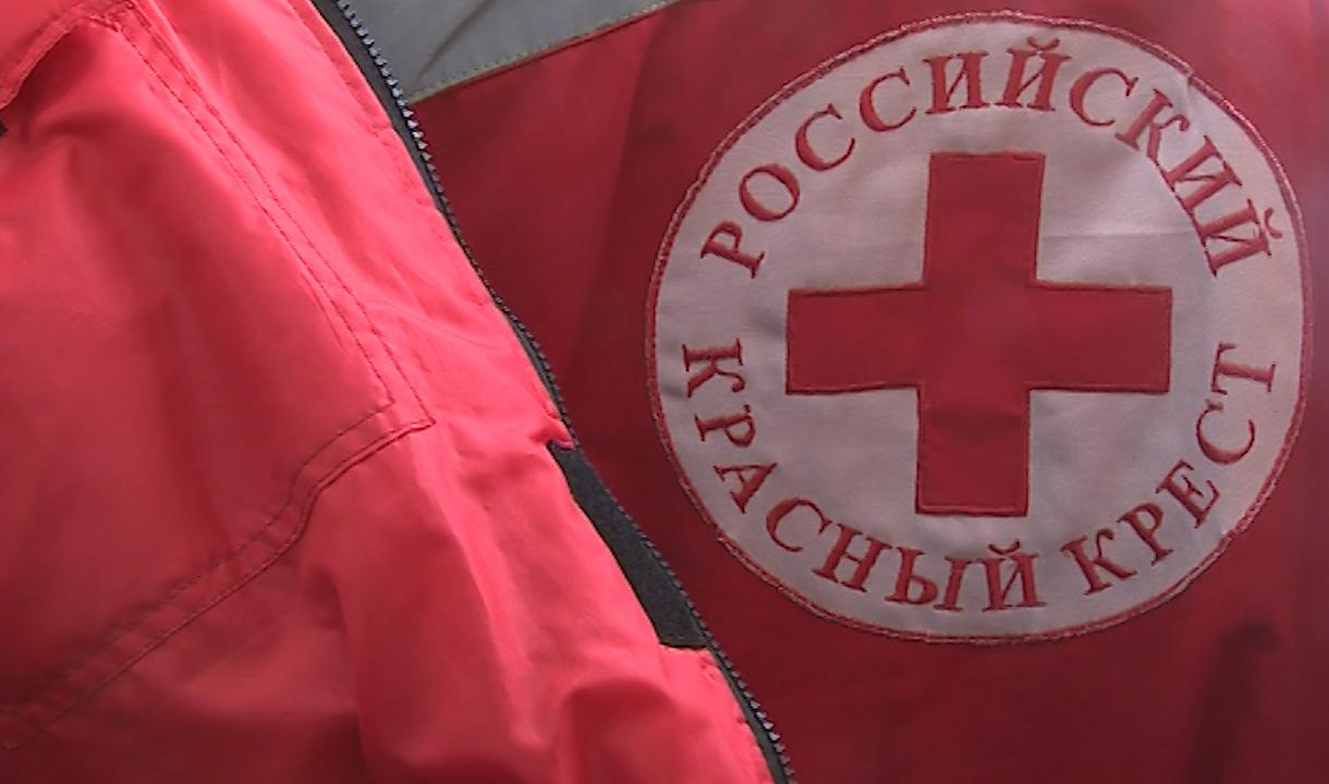 Российский красный крест крокус