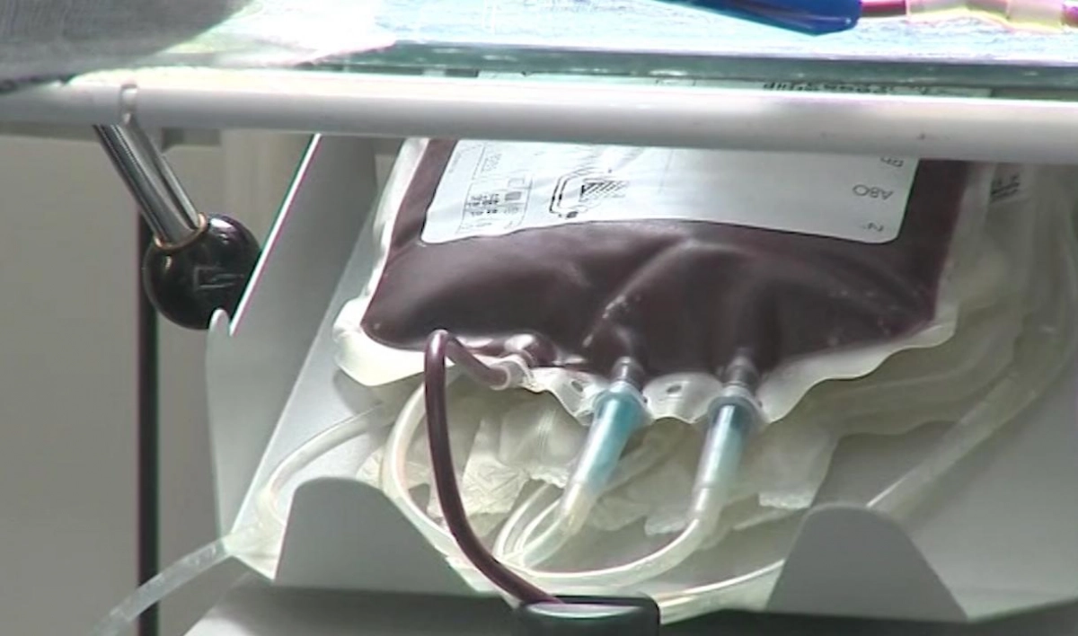 Петербуржцы пожертвовали больницам почти 100 литров крови - tvspb.ru