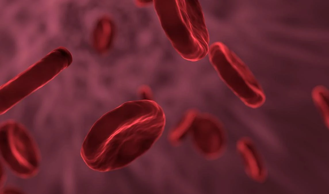 В Роспотребнадзоре объяснили разницу между антителами М и G к коронавирусу - tvspb.ru