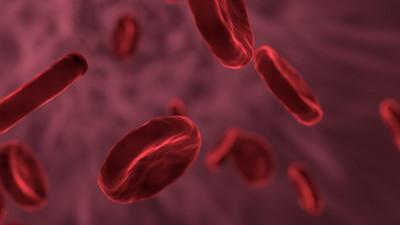 Около 20% заболевших COVID-19 теряют антитела за 2 месяца