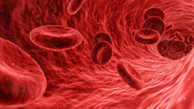 Ученые-биологи выяснили, почему воспаление уничтожает некоторые иммунные клетки