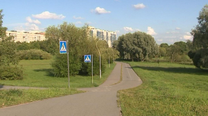 Петербуржцы решают, где разбивать городские парки