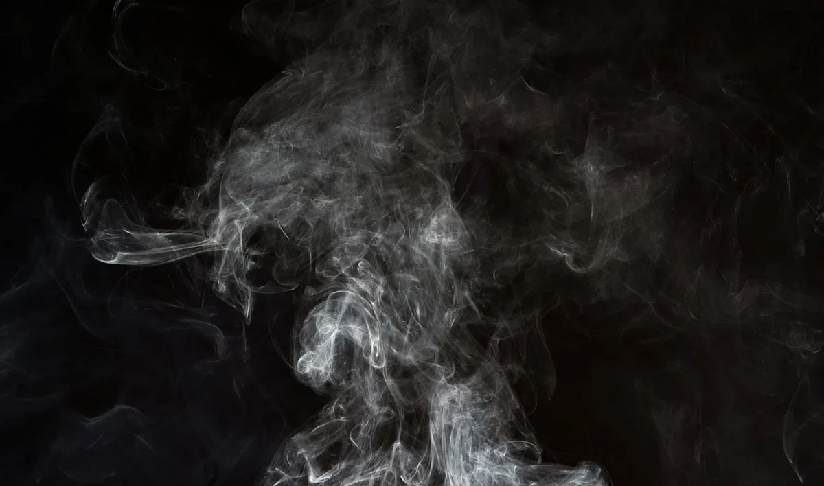 Компания Philip Morris опровергла намерение покинуть российский рынок - tvspb.ru