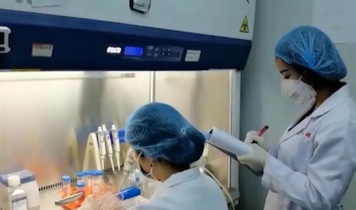 Врач посоветовала привиться от COVID людям с аллергией и ослабленным иммунитетом - tvspb.ru