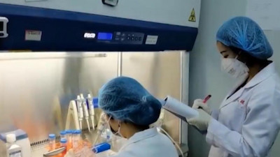 В Петербурге пройдут испытания препарата против COVID-19 «Ковид-глобулин»