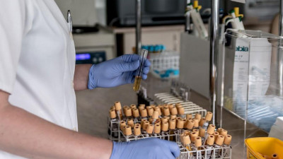 Ученые выяснили, что старость может препятствовать развитию рака